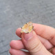 925 Sterling Silver Citrine Stone Ring - Raw Shape