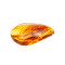 Amber - كهرمان